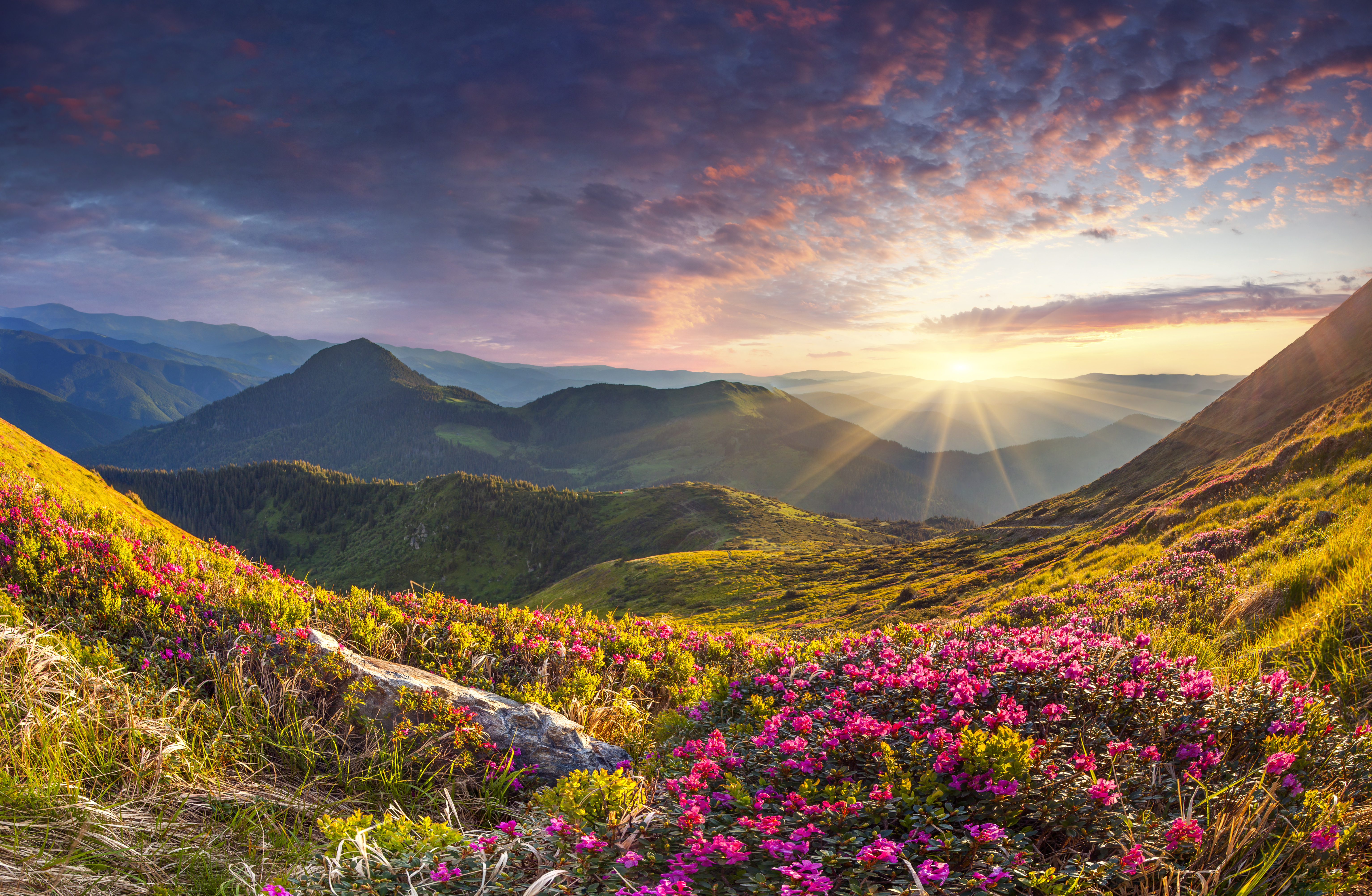 Sensing God’s Presence in Your Life